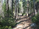 photo thumbnail #4