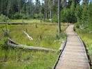 photo thumbnail #8