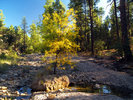 photo thumbnail #3