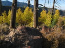 photo thumbnail #9