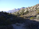 photo thumbnail #2
