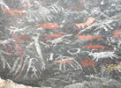 photo thumbnail #10