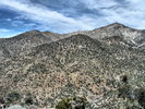 photo thumbnail #15