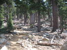 photo thumbnail #5