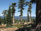 photo thumbnail #6