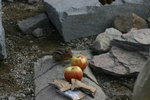 photo thumbnail #9