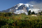 photo thumbnail #12