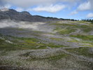photo thumbnail #15