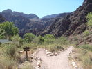 photo thumbnail #15