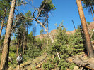 photo thumbnail #3