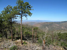 photo thumbnail #11