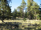 photo thumbnail #11