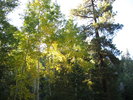 photo thumbnail #13