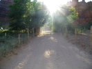 photo thumbnail #10