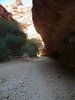 photo thumbnail #14