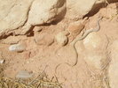 photo thumbnail #15