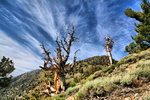photo thumbnail #12