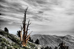 photo thumbnail #13