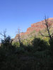 photo thumbnail #5
