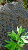 photo thumbnail #14