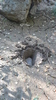 photo thumbnail #15