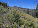 photo thumbnail #3