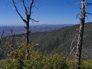 photo thumbnail #5