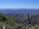 photo thumbnail #7