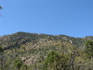 photo thumbnail #1