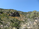 photo thumbnail #2