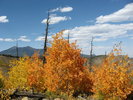 photo thumbnail #5