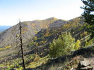 photo thumbnail #12