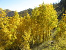 photo thumbnail #14