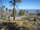 photo thumbnail #11