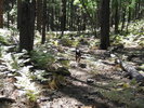 photo thumbnail #4