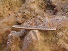 photo thumbnail #13