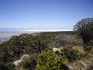 photo thumbnail #8