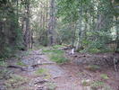 photo thumbnail #4