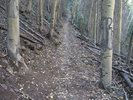 photo thumbnail #11