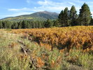 photo thumbnail #12