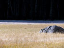 photo thumbnail #12