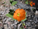 photo thumbnail #5