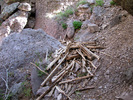 photo thumbnail #7