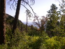 photo thumbnail #11