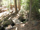 photo thumbnail #1