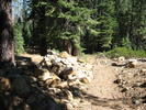photo thumbnail #6