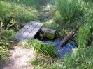 photo thumbnail #7