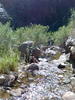 photo thumbnail #8