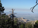 photo thumbnail #5