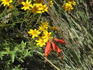 photo thumbnail #11